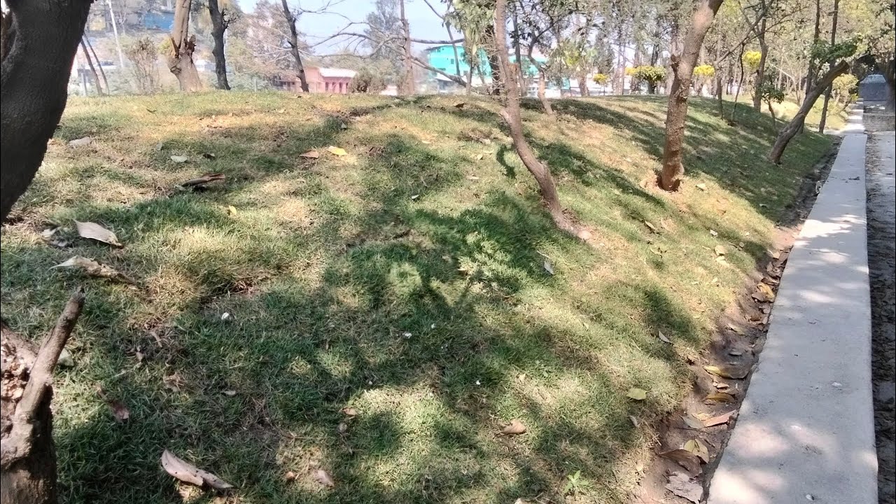 k xa hau sathi haru🙏