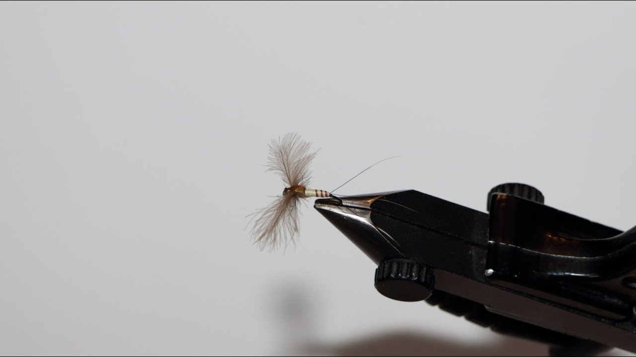 Montage d'un spent de mouche de mai
