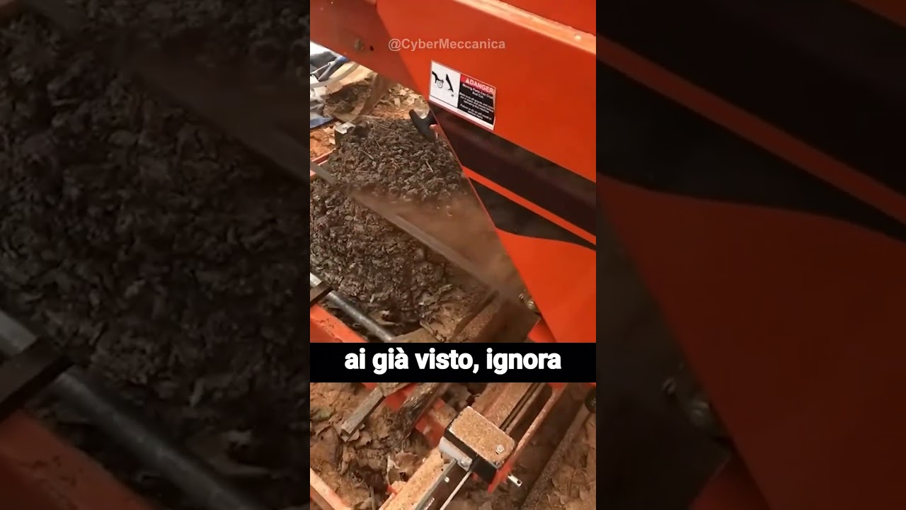 Radica: Il Legno Pi&ugrave; Prezioso del Mondo! Scopri il Suo Valore