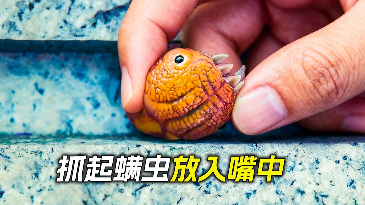 女孩有逆天體質，靠吃螨蟲為生，科幻，奇幻，電影，解說，獵奇，懸疑，冒險，超能力