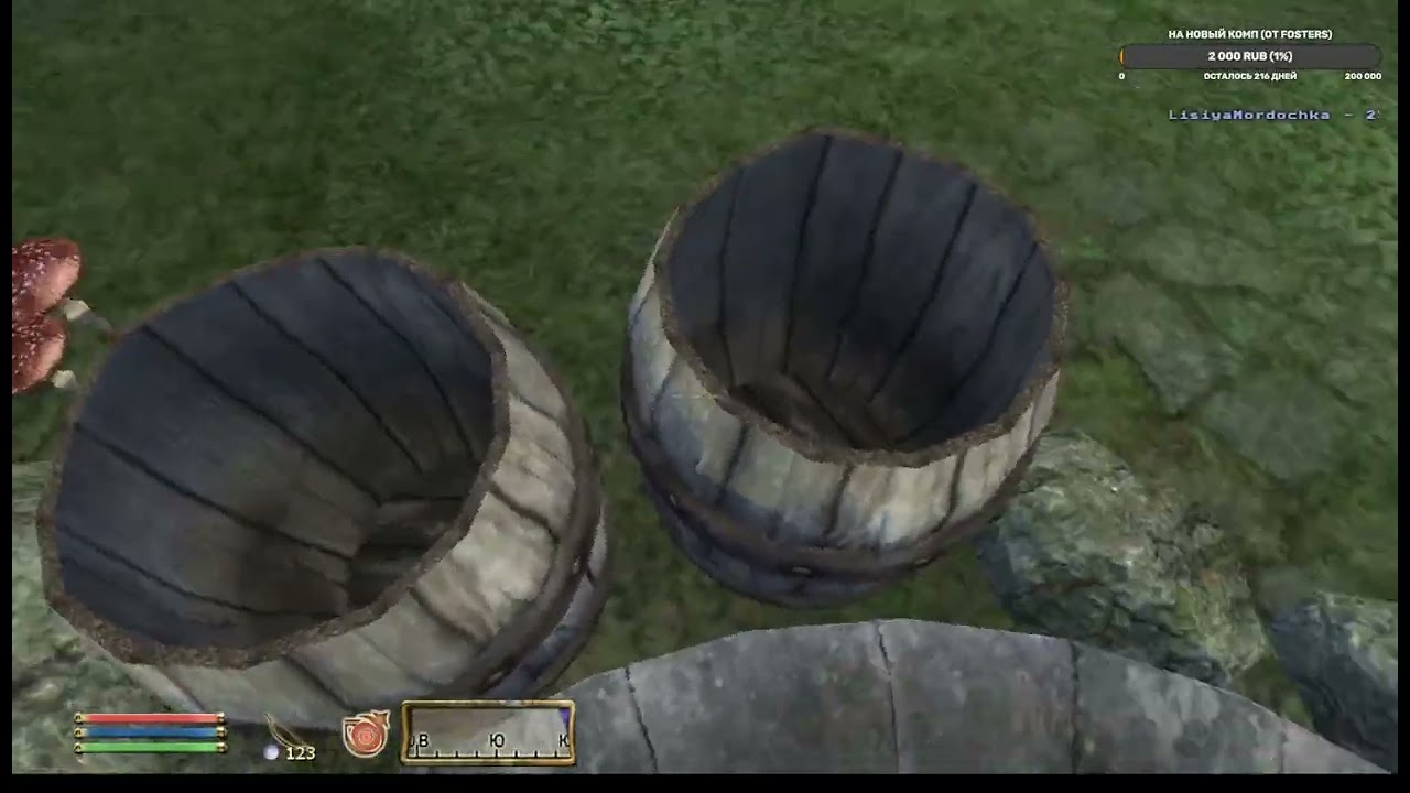 Займись делом!!1 | TES4: Oblivion (аддон 