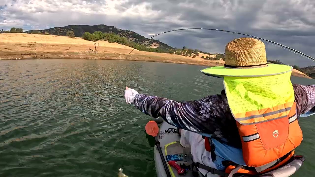 Bass Fishing New Melones Lake California 08 24 2025