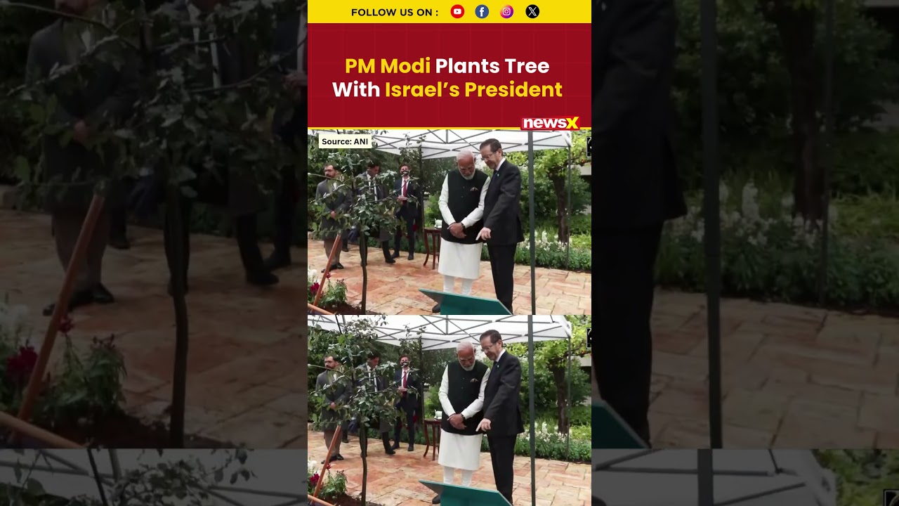 PM Modi & Isaac Herzog&rsquo;s Symbolic Tree-Planting Goes Viral In Jerusalem | #pmmodi #israel #shorts