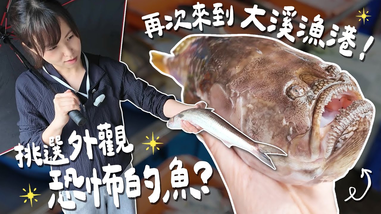 大溪漁港買到處理不好，吃起來就會跟「廁所一樣臭的」瞻星魚...這不是我選魚的風格啊.......