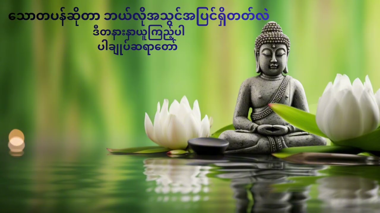 သောတပန်၏ ရုပ်ပုံလွှာ ပါချုပ်ဆရာ​တော် အရှင်နန္ဒမာလာဘိဝံသ