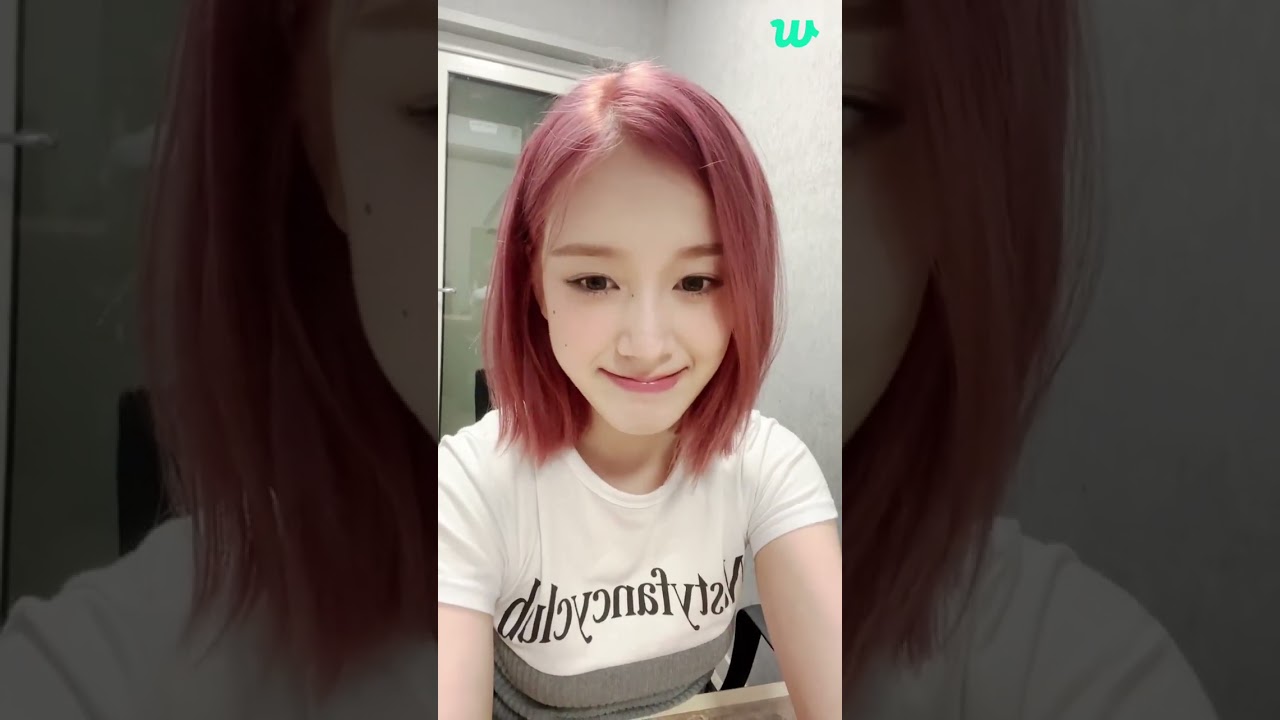 월요정 사진이 없어서 라이브로 왔엉🐶❤️ | STAYC Weverse LIVE [SUB] 240610