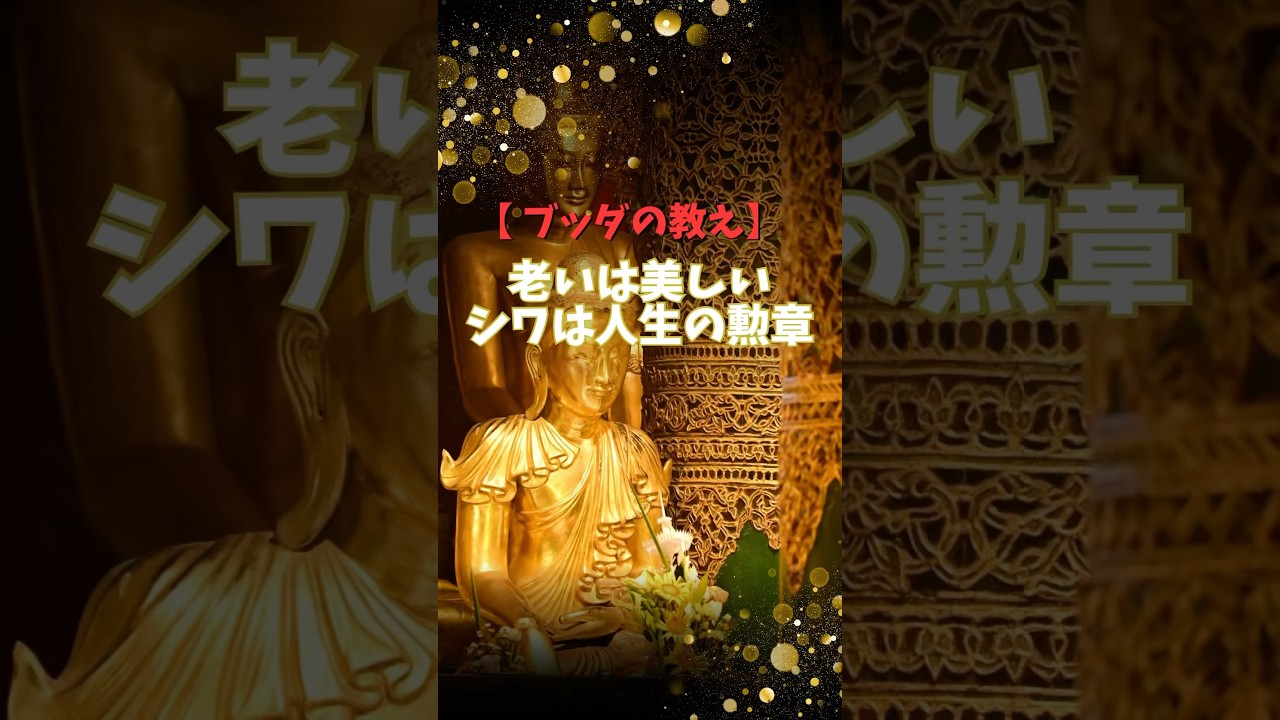 【ブッダの教え】老いは美しい、シワは人生の勲章 #仏教 #ブッダの教え #人生智慧 #老い #心の癒し