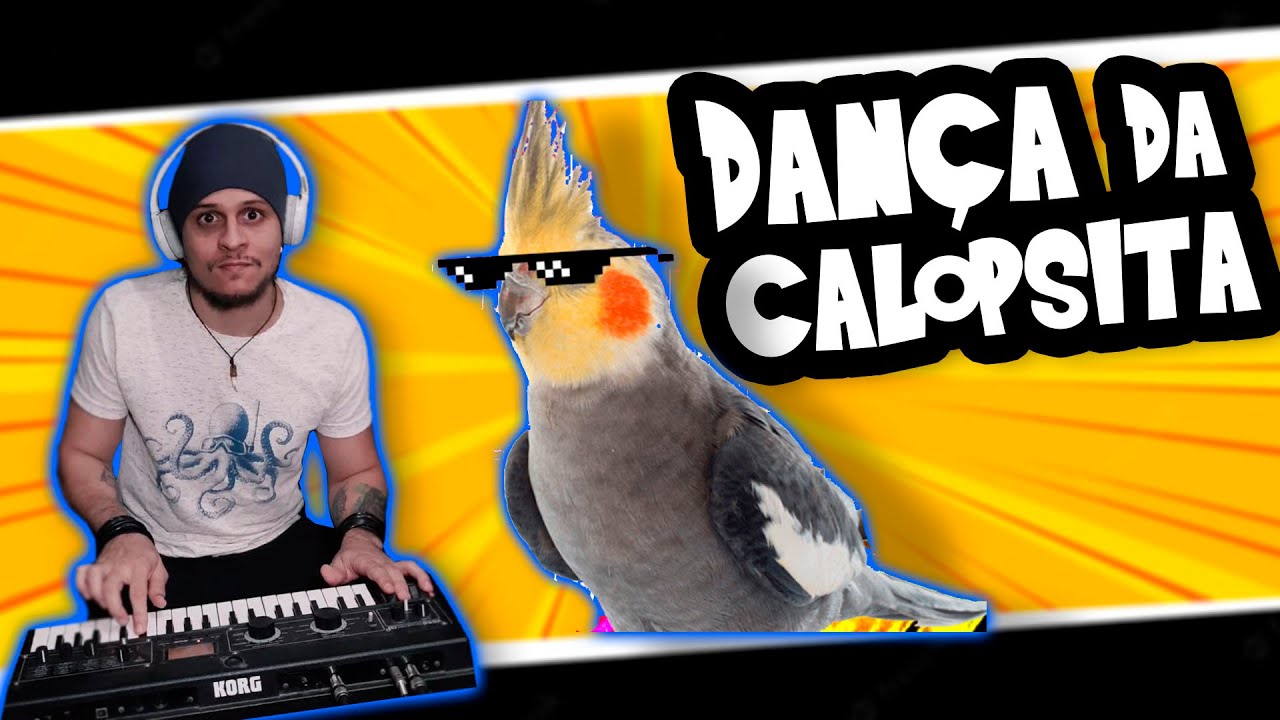Cockatiel Rave: Two Birds Dancing and Singing to an Electro Beat! (Dan&ccedil;a da Calopsita)