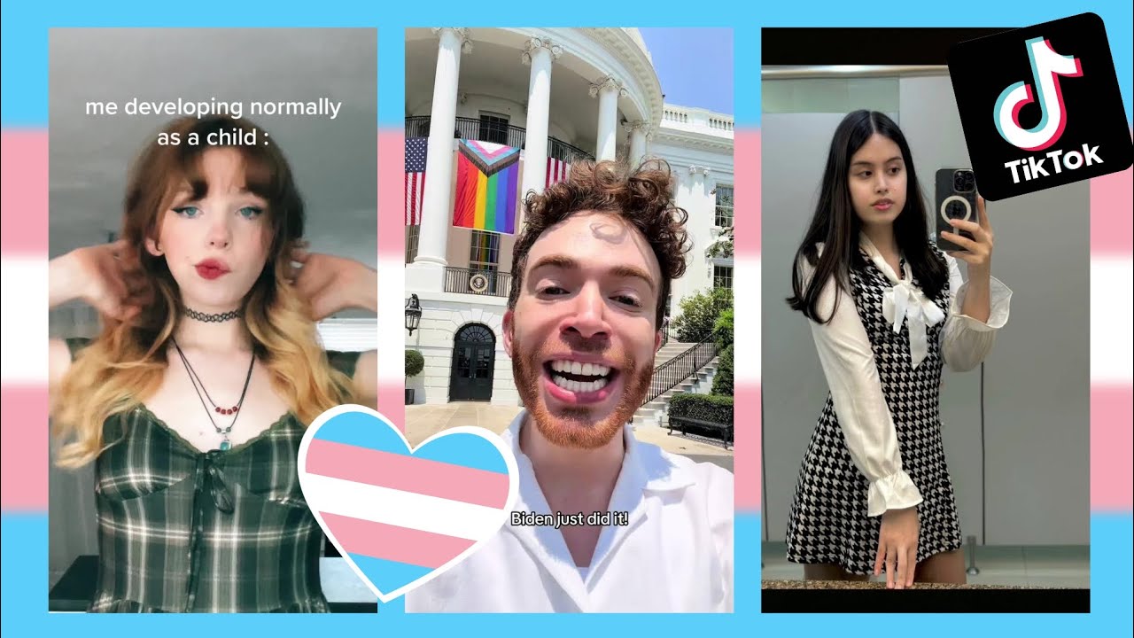 Trans TikToks Compilation #11