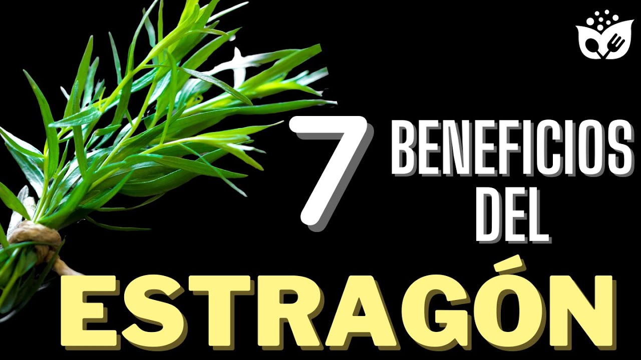🌿 C&oacute;mo el ESTRAG&Oacute;N Puede Mejorar Tu Salud: 7 BENEFICIOS Clave 🌿