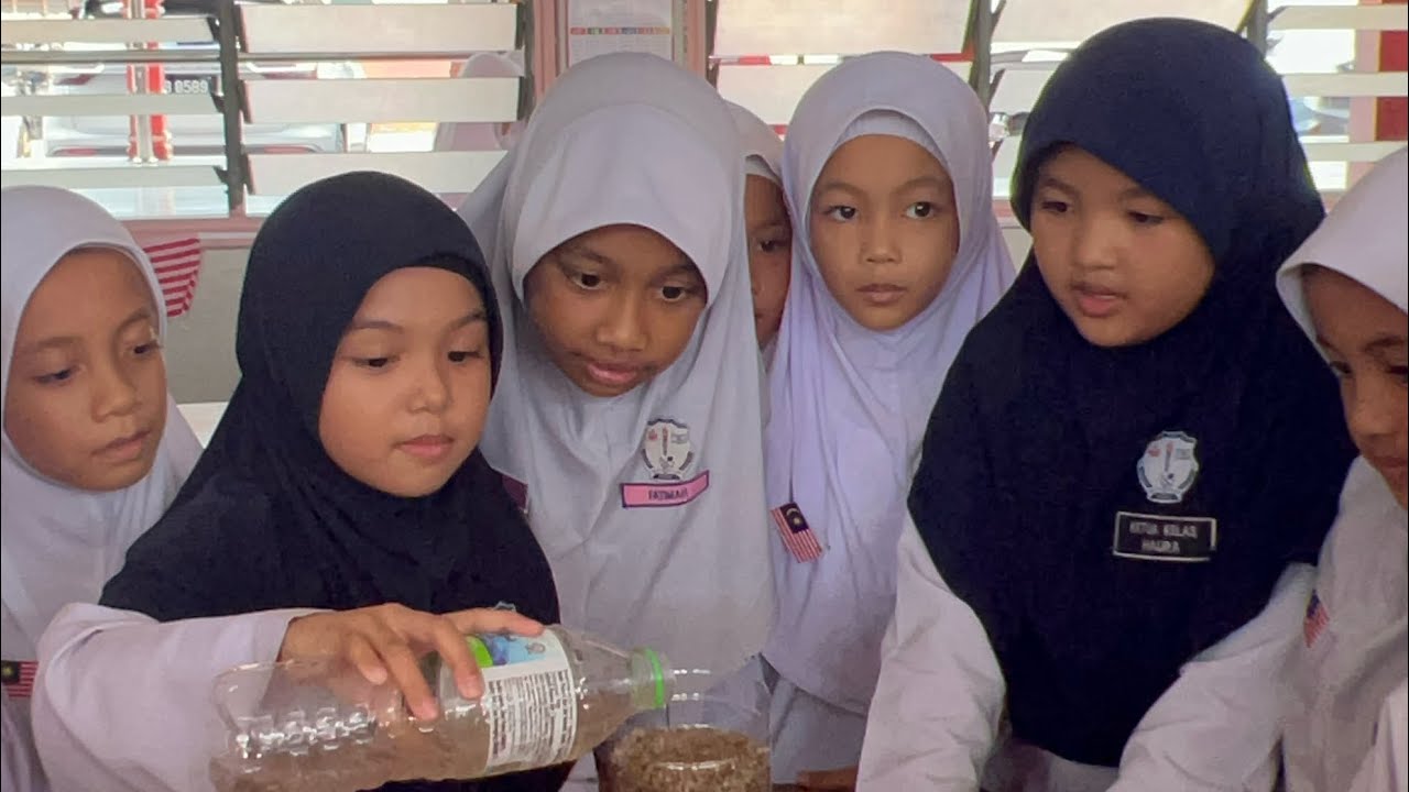 SCIENCE RECREATION YEAR 1- SIMPLE WATER FILTER