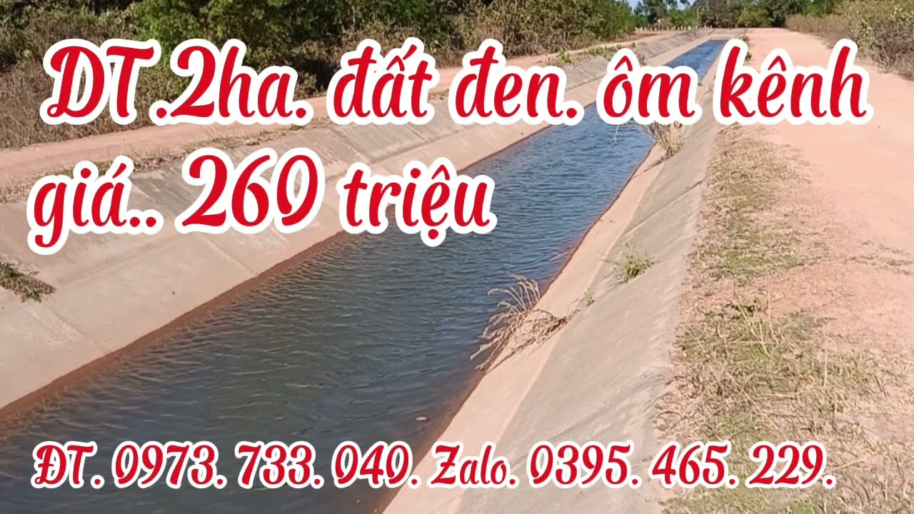 Chủ cần sang nhượng. DT.2ha đất đen. Ôm kênh nước thủy lợi. Giá. 260 triệu