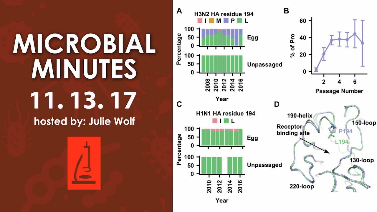 Dengue, Plague, and the human microbiome project - Microbial Minutes