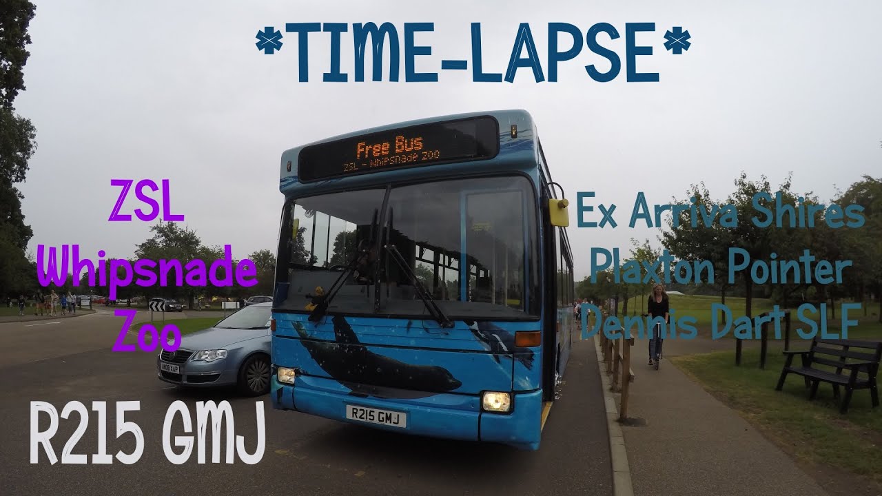 *TIMELAPSE* Ex Arriva Shires | Plaxton Pointer | Dennis Dart SLF | Whipsnade Zoo Bus | R215 GMJ