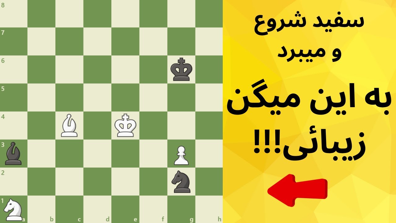 !!!سفید شروع و میبرد،،، چی بگم از زیبائی l White Wins, So Cute