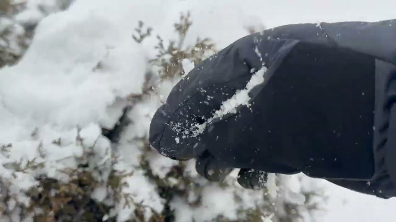 Canada mai aya ek aur Snow Storm🥶❄️🇨🇦 