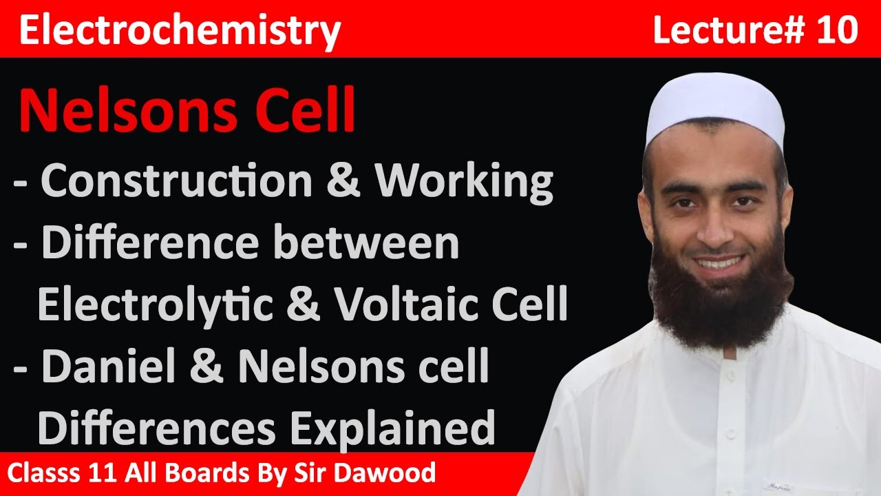 nelsons cell || difference between voltaic and electrolytic cell ||