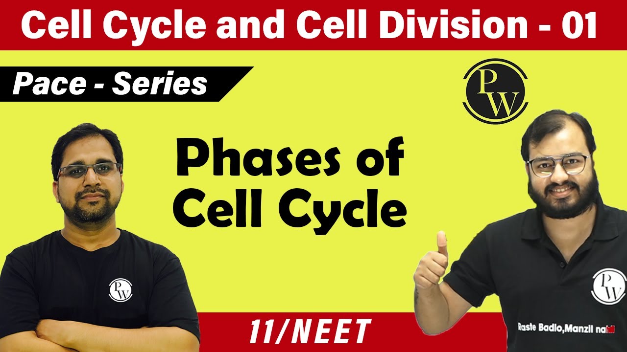 Cell Cycle and Cell Division - 01 | Phases of Cell Cycle | Class 11 | CBSE | NEET | Pace Series