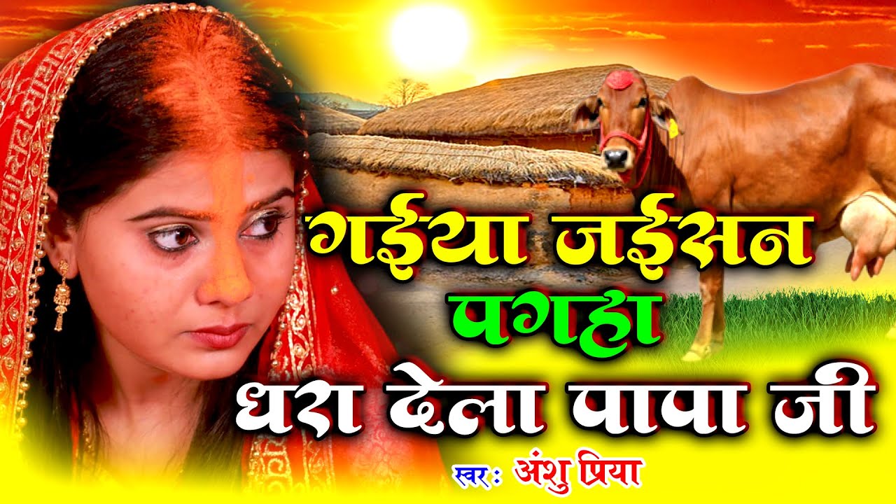 बेटी विवाह गीत || गईया जईसन पगहा धरा देला पापा जी || Anshu Priya Shadi Vivah Geet || Sindurdan