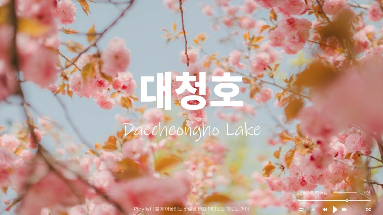 Playlist 🎧 l 사랑의 계절이 다가온다...💘🌸 l Daecheongho lake Playlist 🎧