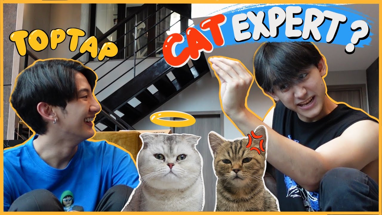 VLOG#5: I’m Back!! กลับมาแล้ววว พร้อมกับปัญหาแมวๆที่ต้องให้ Cat Expert คนนี้ช่วย~ @Toptap Jirakit
