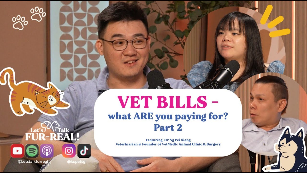 Vet Bills - what ARE you paying for? Featuring Dr Ng Part 2