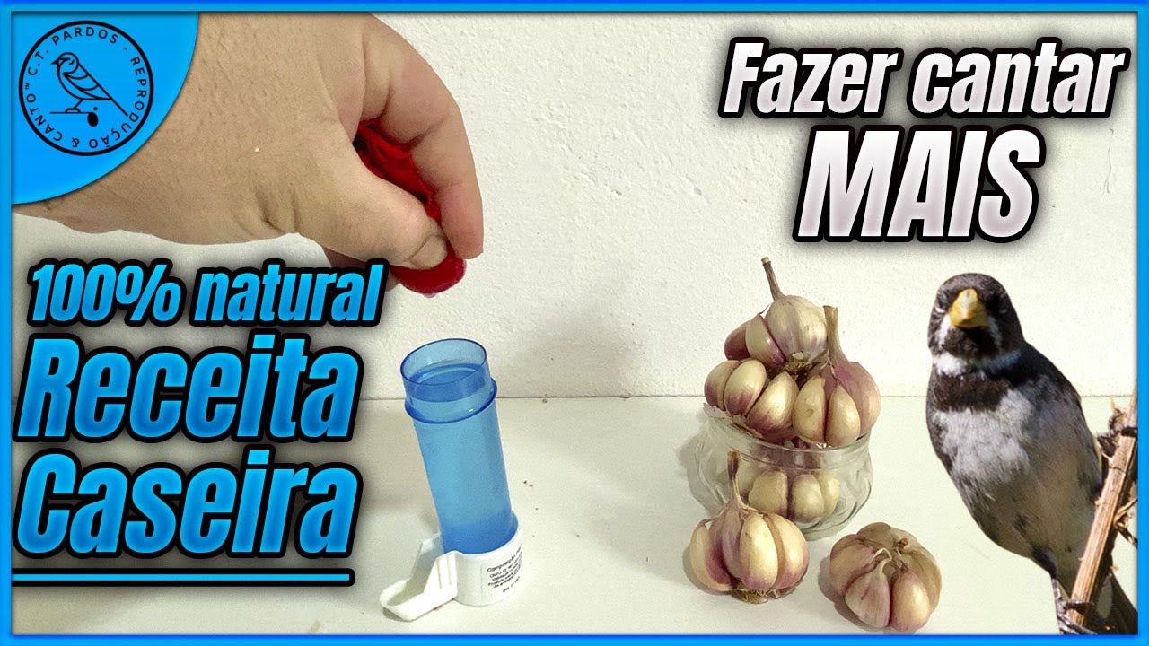 FAZER CANTAR MAIS RECEITA CASEIRA NATURAL