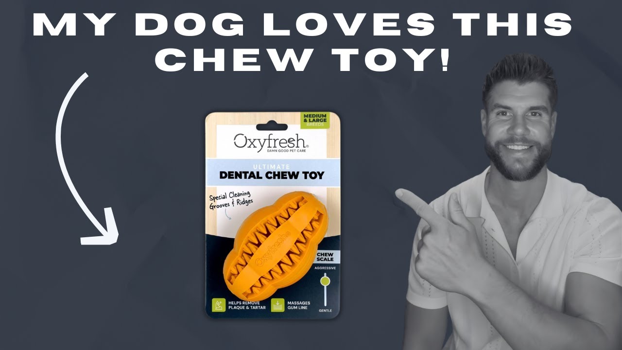 Check out this dog dental chew toy! My personal feedback.