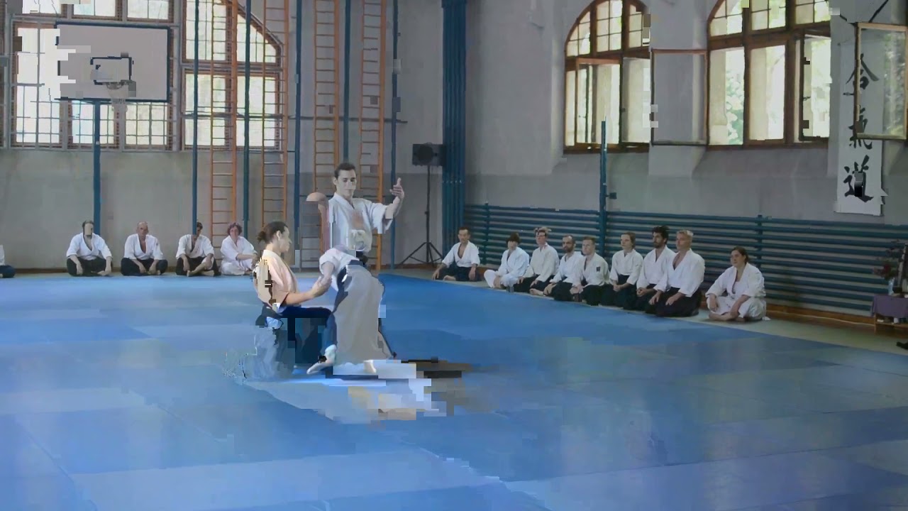 Rokas 3rd Dan Examination - Aikido Garbage