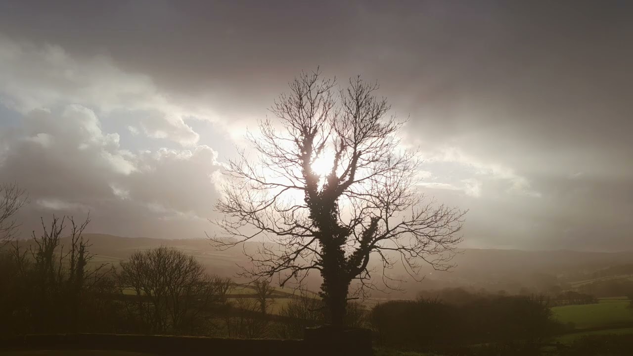 After The Rain - Soothing Harp Music for Positivity, Healing, Relaxation and Inner Peace