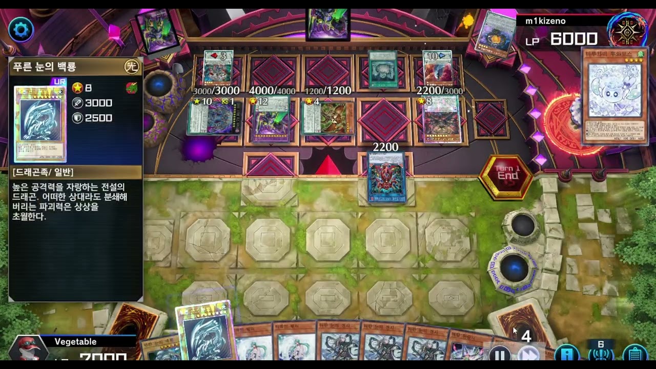 신지원 받은 DD상대로 후와로스 2장 던지면 생기는 일