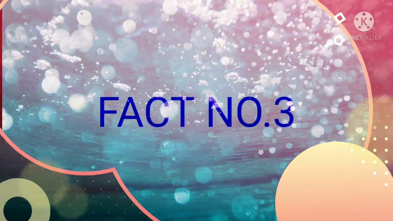 5 facts about misty