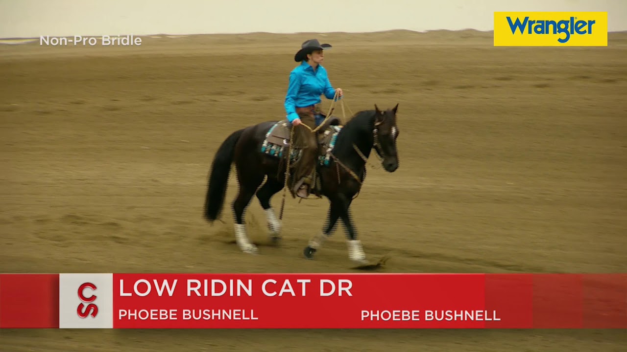 Calgary Stampede 2019 - July 11 - Working Cow Horse Non-Pro Bridle Winning Run - Phoebe Bushnell