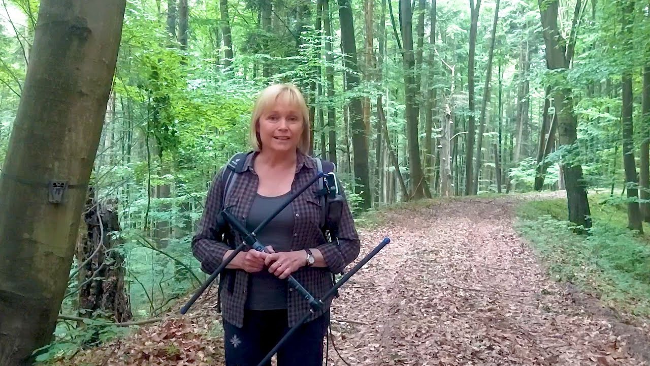 Mikrorefleksje #30|Czy ludzie i duże ssaki mogą nie wchodzić sobie w drogę?|dr Sabina Parużek-Nowak
