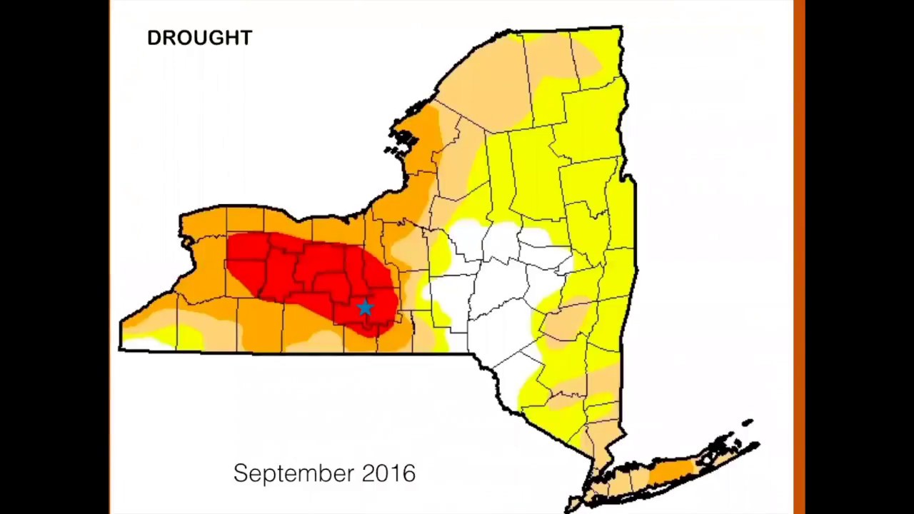 Silvopasture & Climate Change, Part 1 (Steve Gabriel)