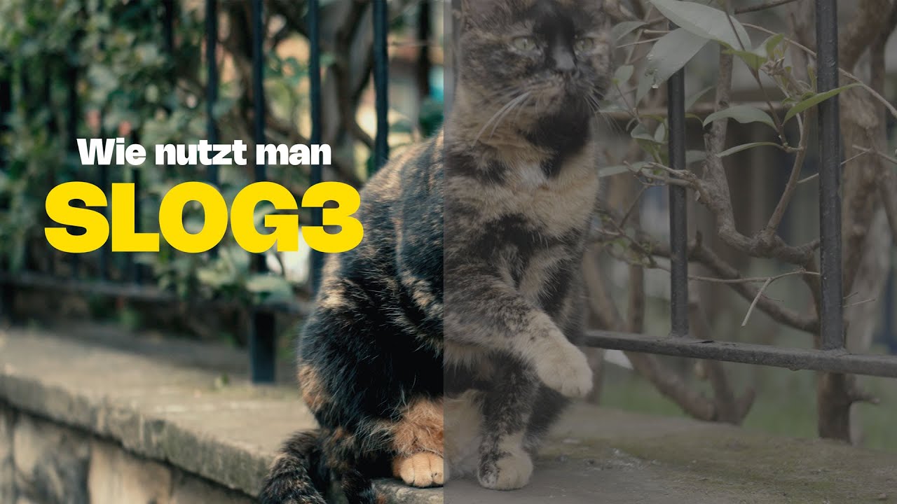 SLOG3 Tutorial - Wie nutzt man Sonys LOG Profil richtig? (auch andere kameras)