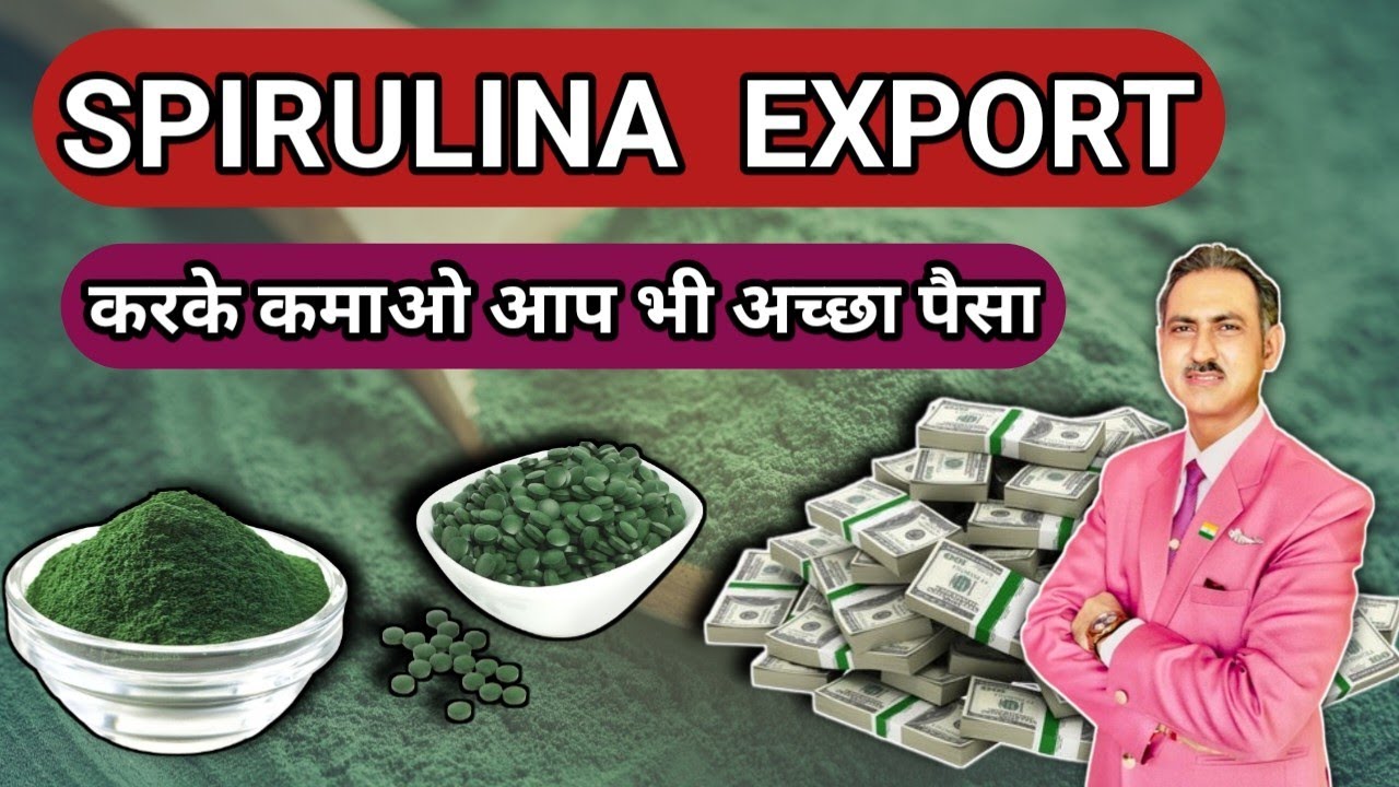 how to export spirulina from india I spirulina powder export #rajeevsaini #export