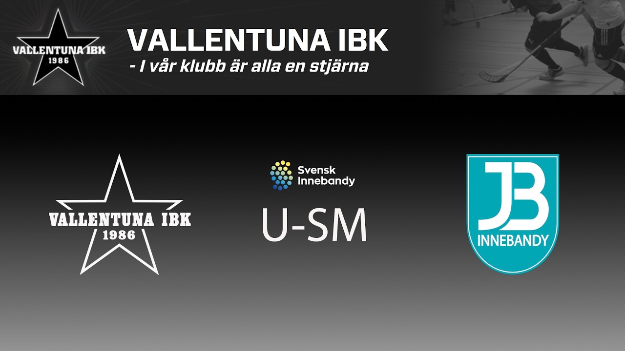 2026 USM P16 Region Grupp D VIBK - Bele