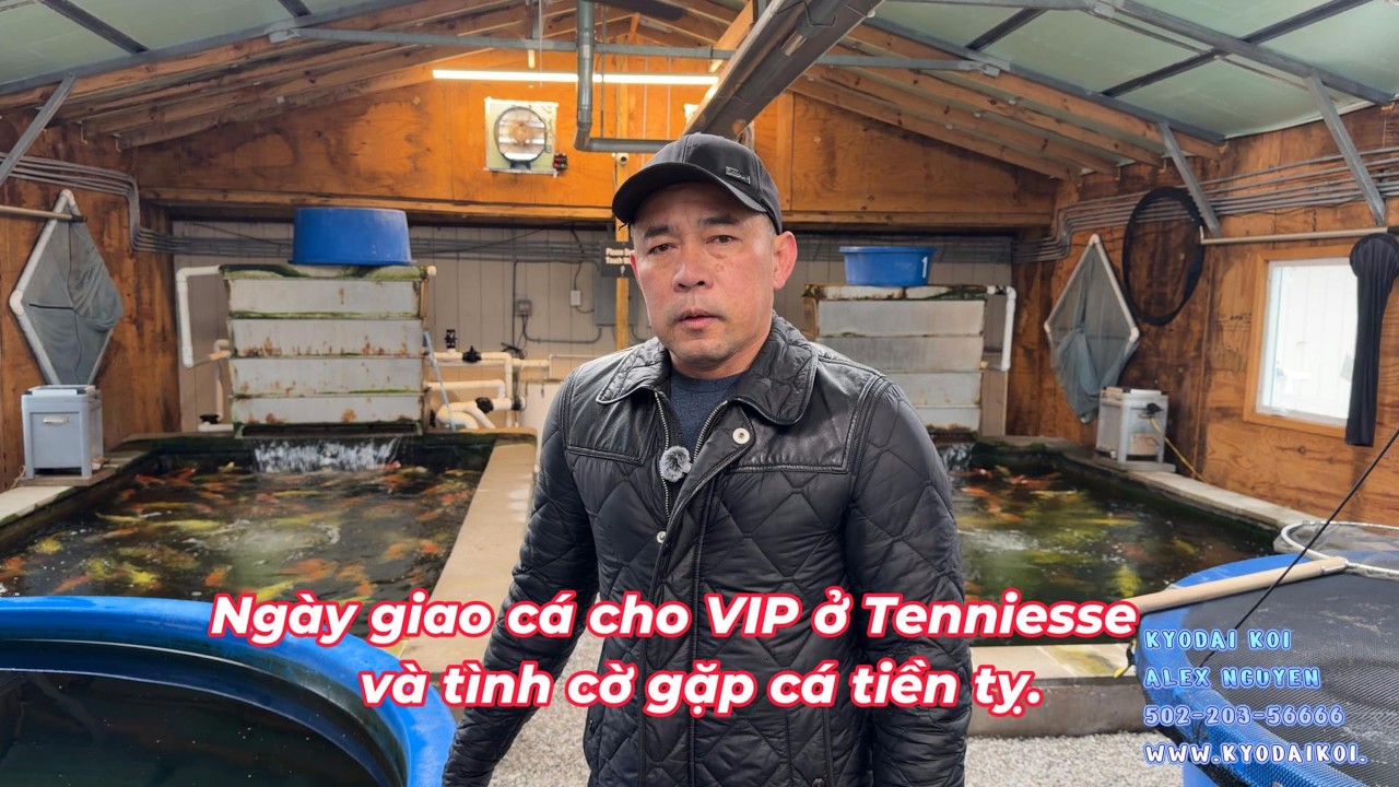 Ngày giao cá cho khách ở Tennesse và tình cờ gặp những cá giá khủng.