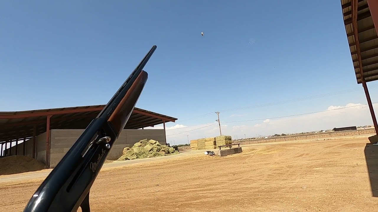 28ga vs .410 showdown Dove Hunt