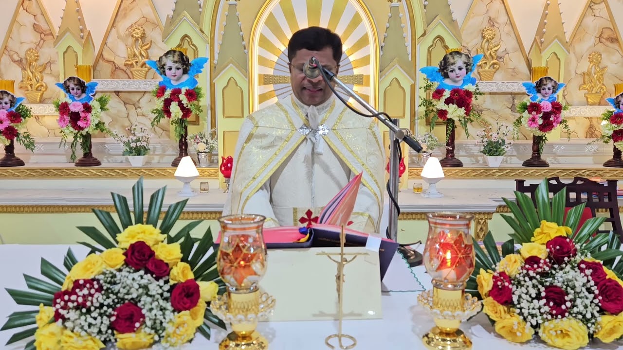 Holy  Mass I  Wednesday   5.30  AM November 26   I  Syro  Malabar I Fr Bineesh Augustine  Malayalam