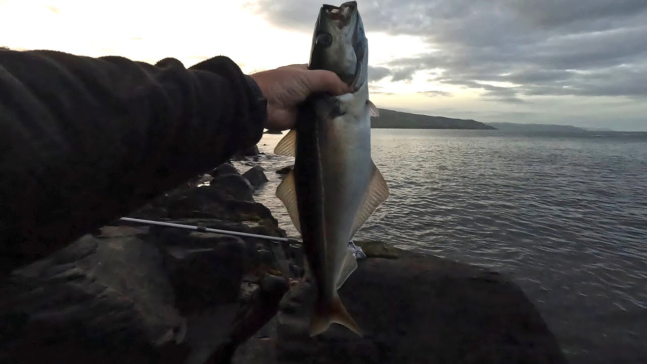 Brilliant fishing on the County Antrim coast !
