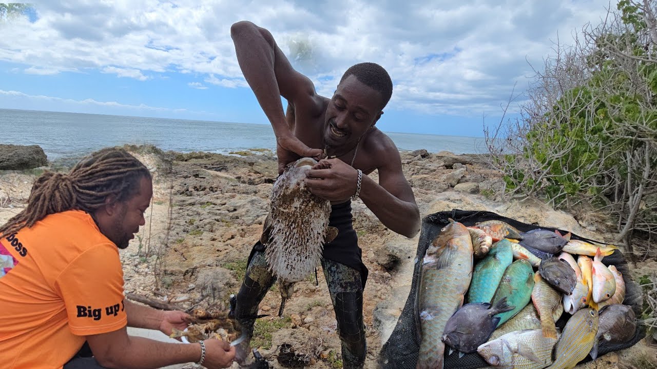  Epic Sea adventure link up with fowl wildlife TV 