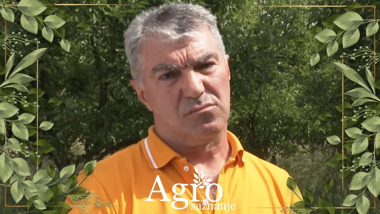 AGROSAZNANJE - Stankovići iz Gračanica, Golubović iz Buče, Tutić sa Peštera i Šofranac iz Rvaša