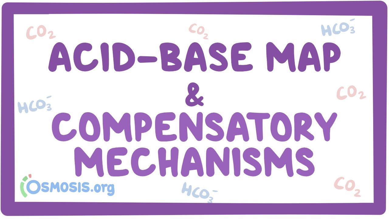 Acid-base map and compensatory mechanisms