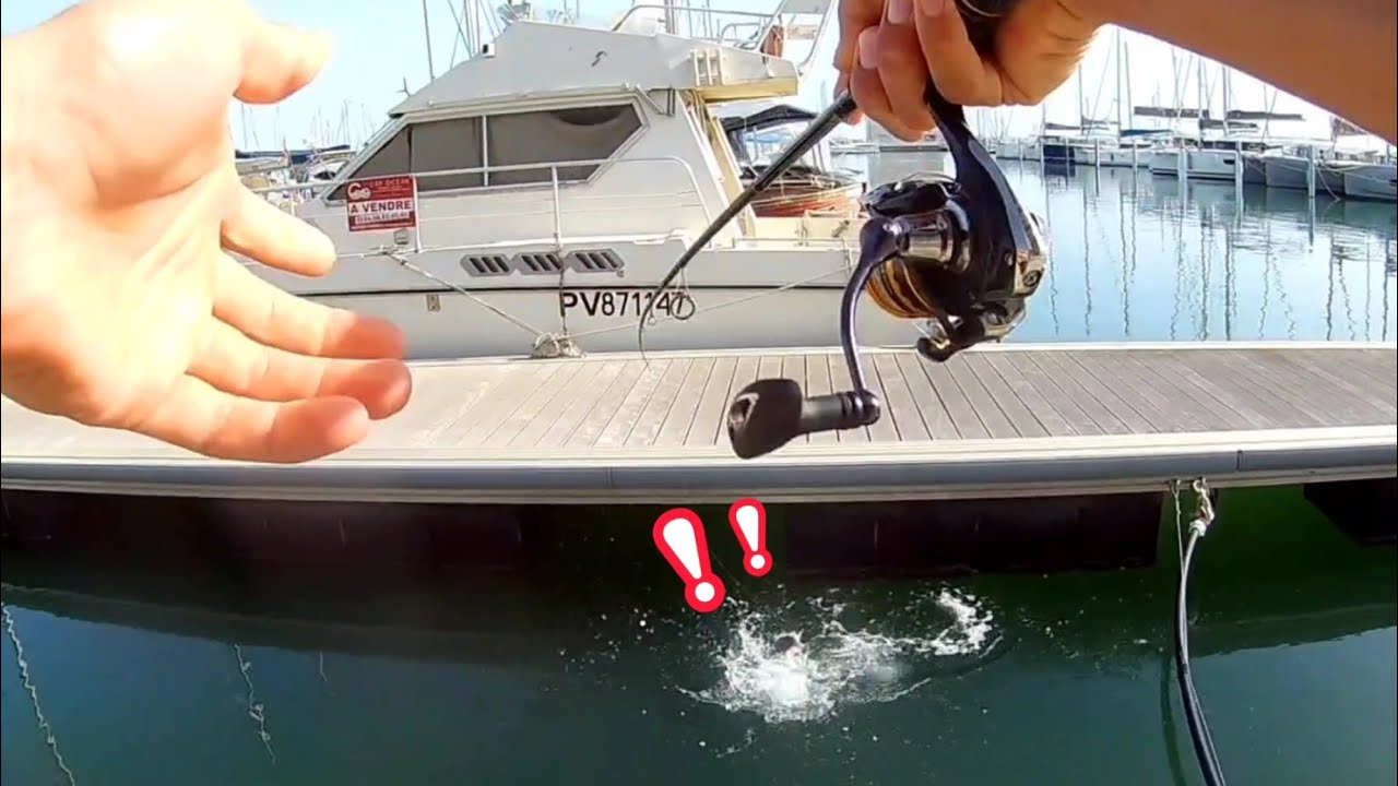 Pêche en Mer dans un port au pain ! Mulet , Sar etc...