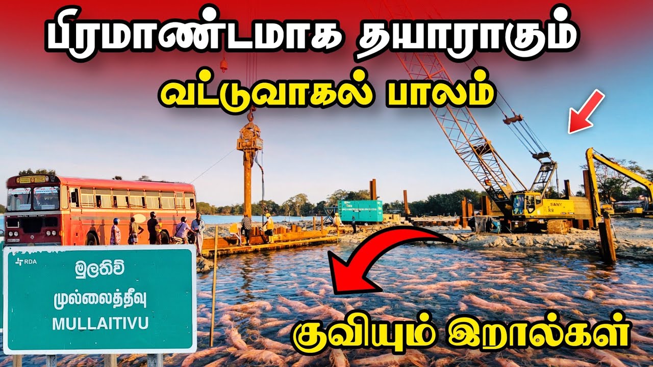 The grand construction of the Vattuwagal Bridge - shrimps flocking | Mullaitivu