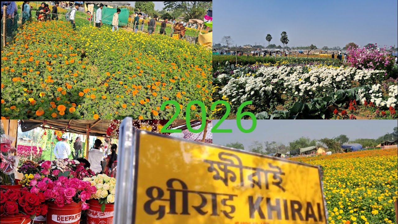 Khirai Vlog 2026 | 8 January Khirai Tour | Peaceful Village Life