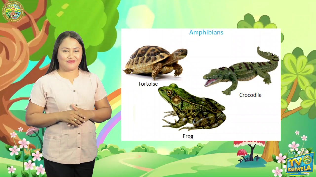 SCIENCE 3: Animals in their Surroundings