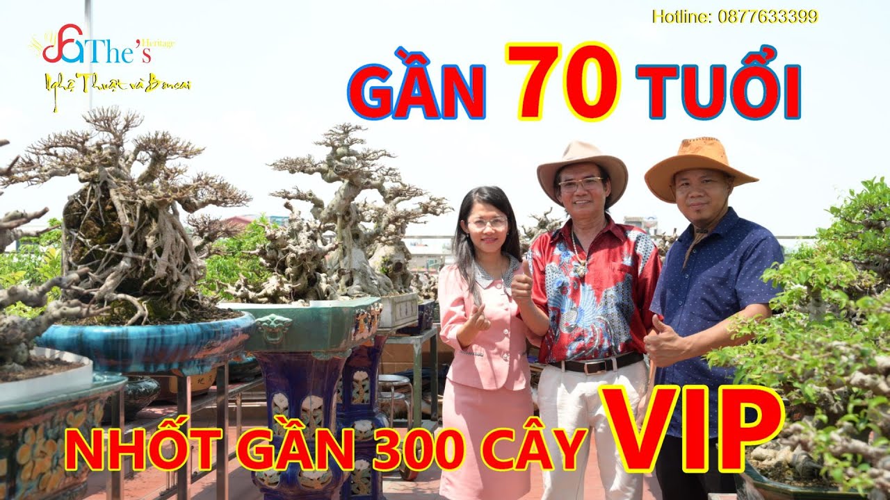 Âm thầm gom gần 300 Phôi và Tác phẩm cực VIP nhốt lên tầng 5, Chú Tùng Kính nói gì, LH: 0915306599